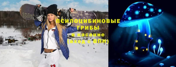 ПСИЛОЦИБИНОВЫЕ ГРИБЫ Армянск