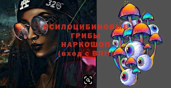 ПСИЛОЦИБИНОВЫЕ ГРИБЫ Армянск