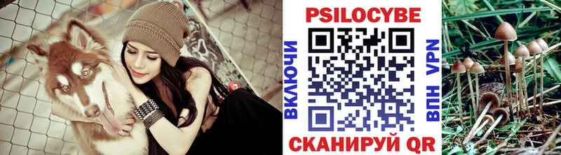 Псилоцибиновые грибы Magic Shrooms  Купить где  Орлов 