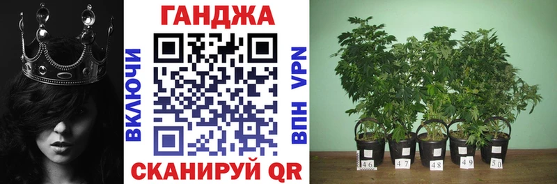 Купить закладки  Орлов  Канабис SATIVA & INDICA 